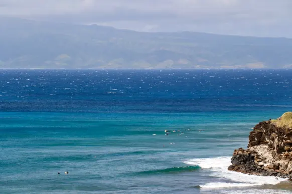 Casino Two Fat Ladies Bingo Ënnerstëtzung